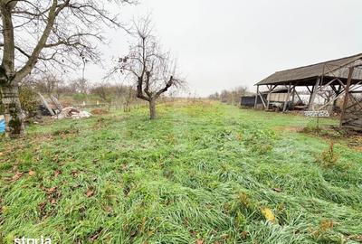 Casă cu 3 camere cu Teren 1900 Mp în Doba - 2
