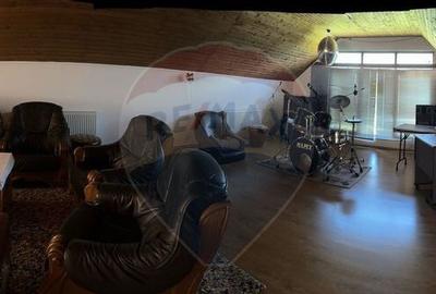 Domeniu - 66 Hectare - Teren deosebit Copsa Mica cu desch... - 9