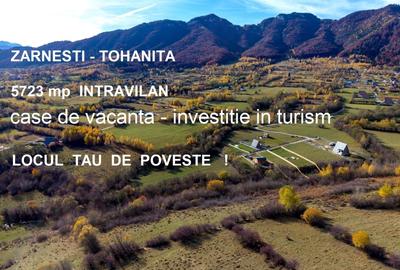 Teren intravilan 5723mp Zarnesti Tohanita- case de vacanta,investitie in turism - 1