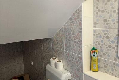 Casă individuală cu 5 camere cu Canalizare în Parcul Carol - 22