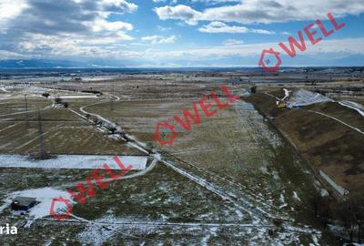 Teren de 19600 mp, în Central