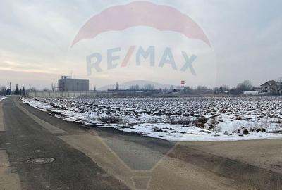 Teren de 6210 mp, în Ciolpani - 6