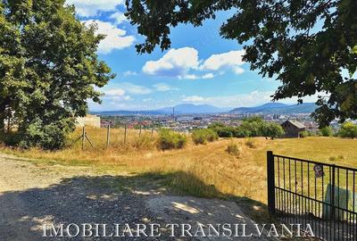 Teren intravilan 1017 mp - str. Trifoiului, Bistrita