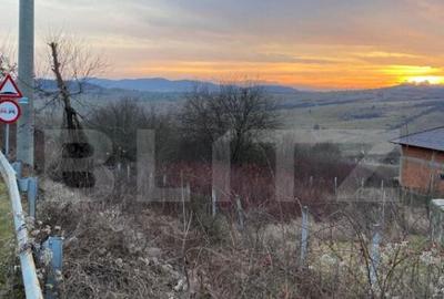 Teren intravilan, 22 ari, zona Dealul Budacului - 3