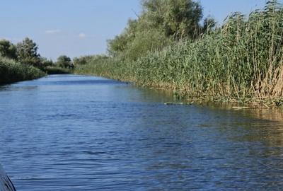 Teren intravilan in Delta Dunarii, C.A. Rosetti - Cardon - 15