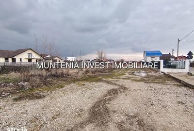 Teren de 7000 mp, în Bradu - 3