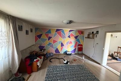 Casă cu 4 camere în Vânători - 4