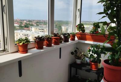 Apartament cu 3 camere decomandat în Aradul Nou - 2