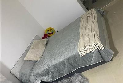 Apartament cu 2 camere nedecomandat în Gara de Nord - 5