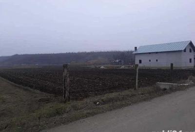 Teren de 2000 mp, în Bora - 2