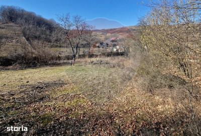 Teren de 4985 mp, în Sascut - 4