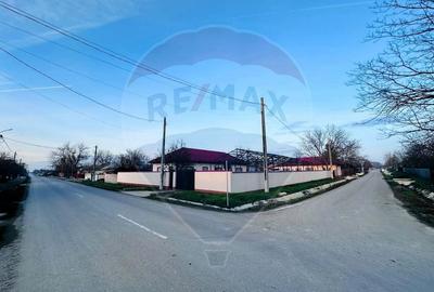 Casa Noua, Mobilata,Pod si Structura pentru Hala,Piscina-Sat Progresul - 19