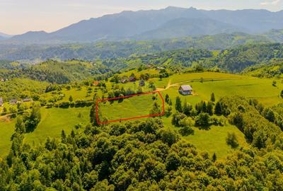 Teren extravilan 2,000mp Pestera / cabana vacanta/natura