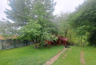 Casă cu 4 camere în Vârfuri - 8