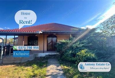 Casa de inchiriat + Hala, Paleu, Oradea - 1