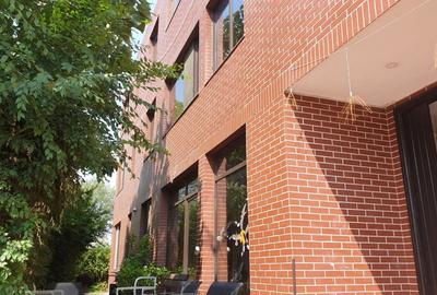 Oportunitate investitie Vila Rosu 473mp, 2500 mp teren, cu deschidere la Lac - 16