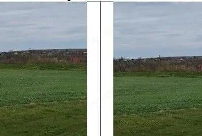 Teren de 20000 mp, în Andrieșeni - 8