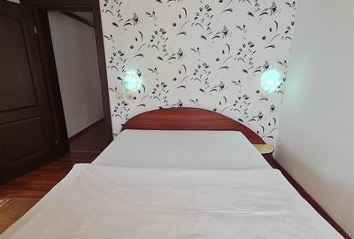 Tu 3D! Pensiune in areal pretios, Moieciu, Bran, Brasov - 40