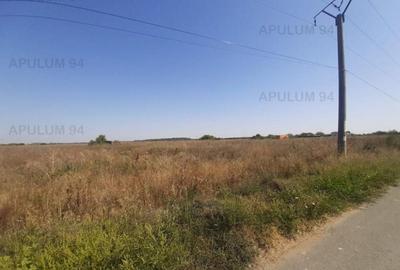 Teren pentru case in 1 Decembrie - 13