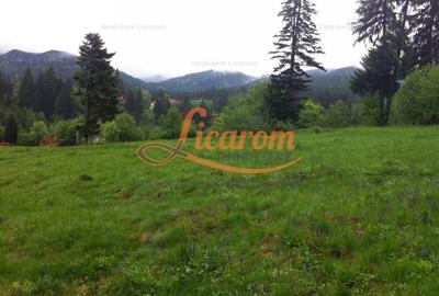 Teren Construcții intravilan de 980 mp, în Timișu de Sus - 6