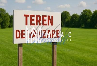Teren agricol de 2317 mp, în Sibiel - 3