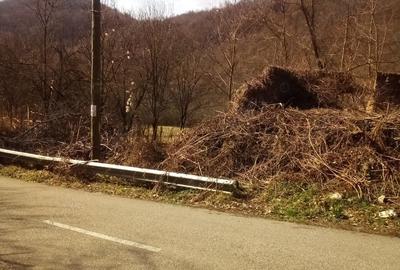 Teren în Băcâia - 1