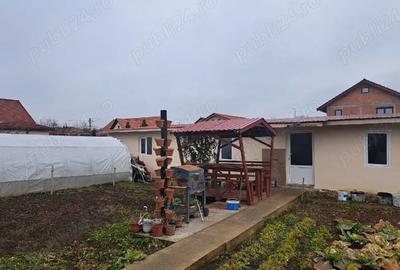 Casă cu Teren 738 Mp în Pișchia - 9