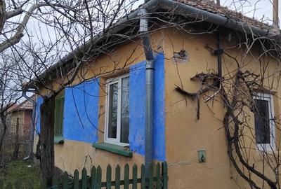 Casă în Ianoșda - 3