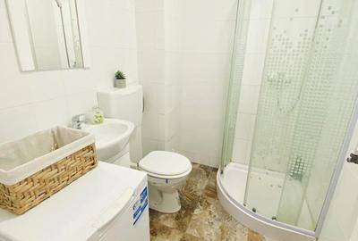 Garsonieră modernă mobilată și utilată – MIHAI VITEAZU Garsonieră modernă mobilată și utilată – MIHAI VITEAZU - 6