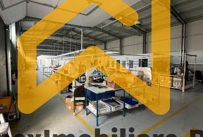 Spațiu industrial, de 550 mp, în Malu Roșu - 4