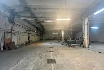 Hale industriale de inchiriat in zona Aradului - 6