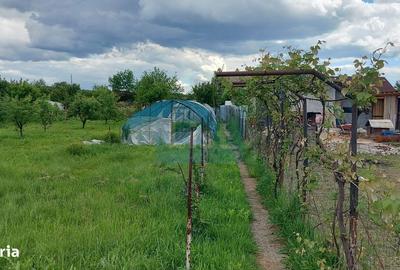 Casă cu 8 camere cu Teren 5000 Mp în Bengești - 20