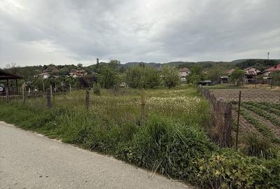Spațiu comercial, în Aranghel - 5