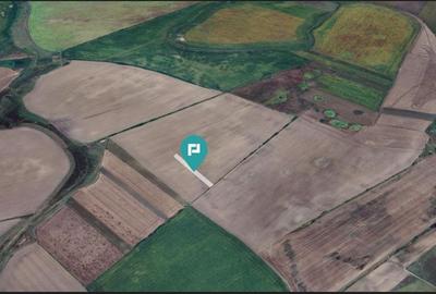 Teren agricol 3200 mp în Caporal Alexa - 3