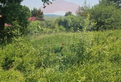 Teren  intravilan  de vanzare Oras  Saliste  Strada Livezii Jud. Sibiu - 27