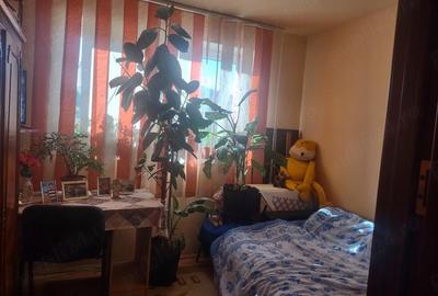 Garsonieră nedecomandată în Valea Rosie - 3