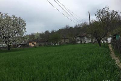 Casă cu 4 camere cu Teren 2300 Mp în Băneasa - 7