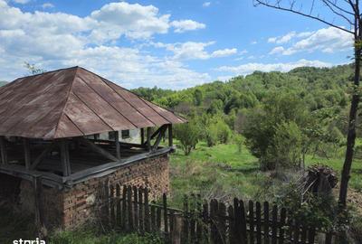 Casă cu 2 camere în Poienari - 5