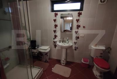 Vila Craiova P+1+M, 317 mp utili si curte de 980 mp - 15