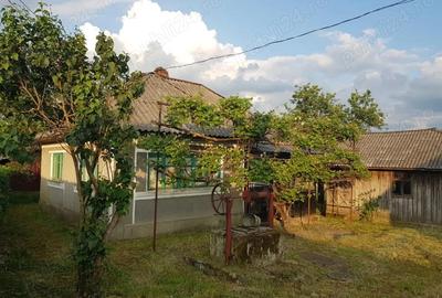 Casă cu 3 camere cu Teren 3867 Mp în Central - 2