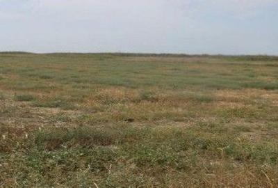 Spațiu comercial, în Negrilești - 1