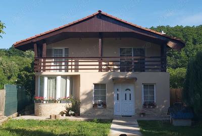 Casa 5 Camere 168mp Teren Plat 1077mp Soimus Zona Drumul Valea Boholtului la 8km de Deva - 3