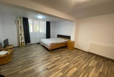 Apartament cu 2 camere semidecomandat, mobilat în Sub Arini - 6