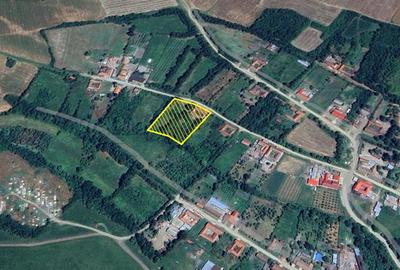 Casă individuală cu 8 camere cu Teren 3800 Mp în Răchitova - 29