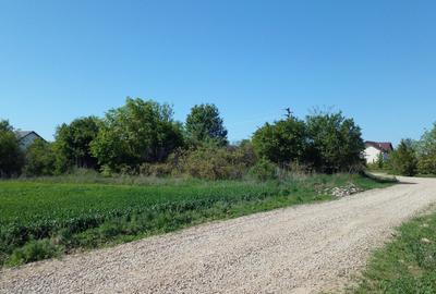 Teren Construcții extravilan de 4881 mp, în Corbeanca Teren Construcții extravilan de 4881 mp, în Corbeanca - 7