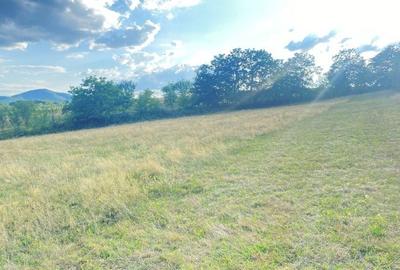 Spațiu comercial, în Brad - 4