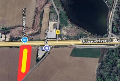 Teren Construcții intravilan de 6306 mp, în Ciolpani - 1