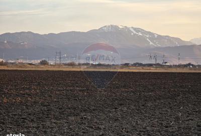 Spațiu comercial, în Hălchiu - 4