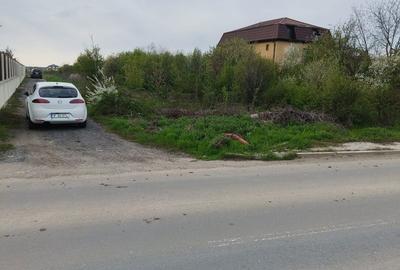 Teren de 9100 mp, în Dragomirești-Vale - 6