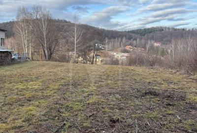 Teren Construcții intravilan de 3540 mp, în Feleacu - 6